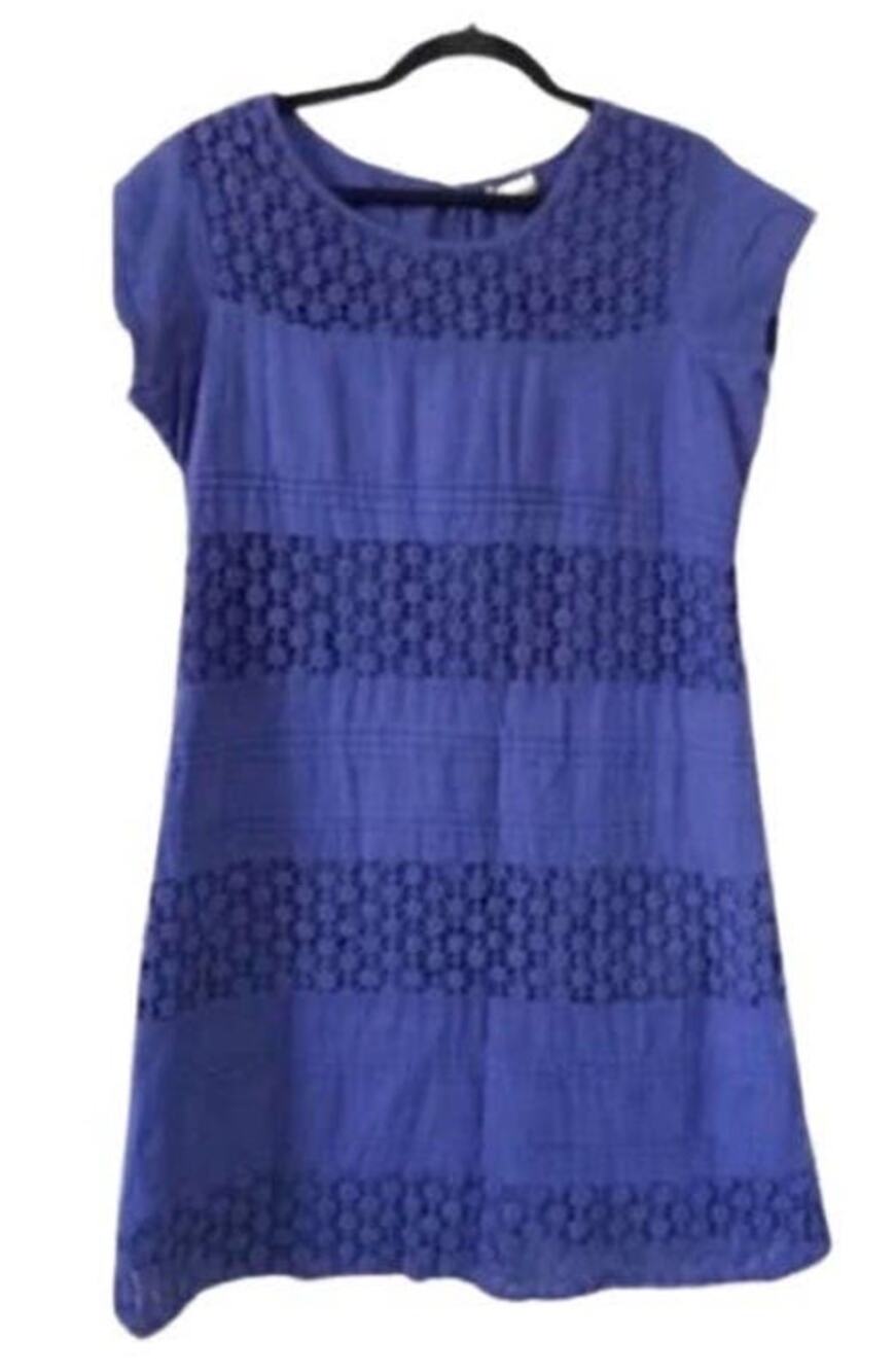 Kanishka mini embroided blue dress